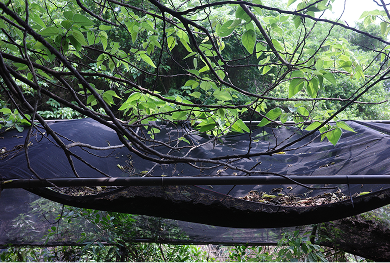 建功油庫旁 原漆彈場